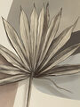 Image Not Available